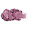 LORAC Color Source Buildable Blush Ultra Violet (satin violet) #1