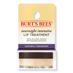 Burt's Bees Overnight Intensive Lip Treatment 