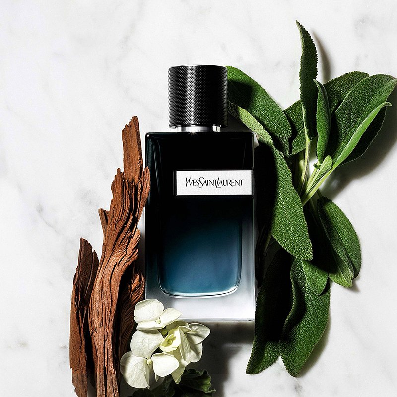 grootmoeder studio gegevens Yves Saint Laurent Y Eau de Parfum Men's Cologne | Ulta Beauty