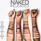 Urban Decay Cosmetics Naked Reloaded Eyeshadow Palette  #3