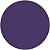 Powerful Plum (rich jewel tone purple)  
