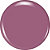 Trudith (wisteria purple cream)  