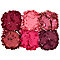 Juvia's Place The Berries Eyeshadow Palette  #2
